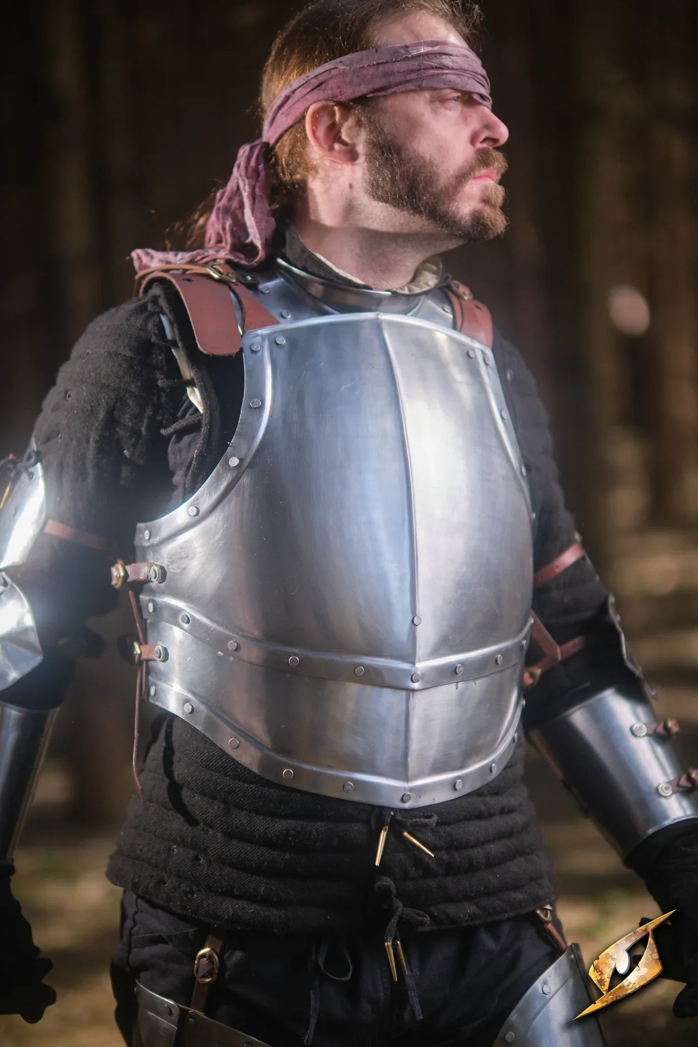 Hero wearing Captain Cuirass armor, featuring polished steel design and stylish protection in a forest setting.