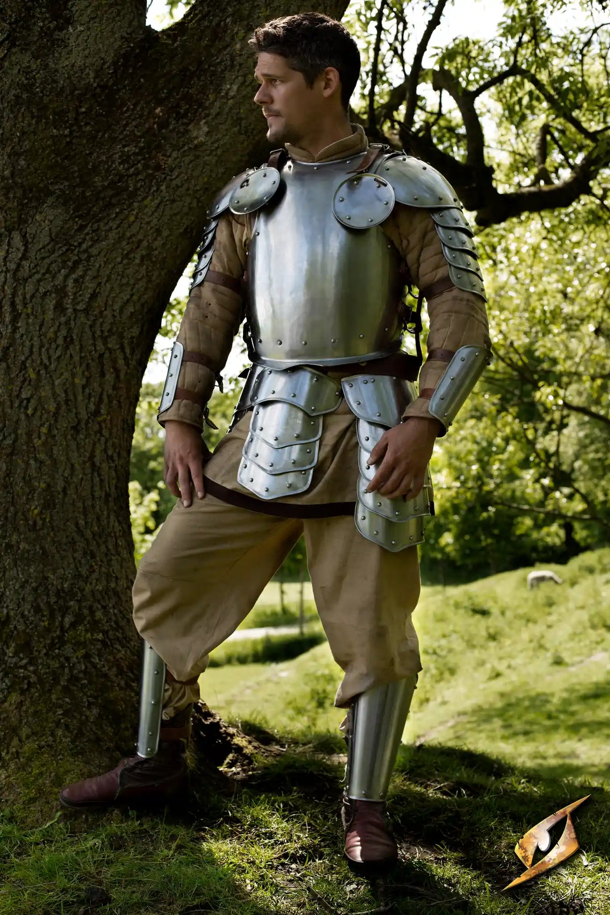Warrior Complete Armour shown in polished steel design, perfect for LARP and reenactment settings.