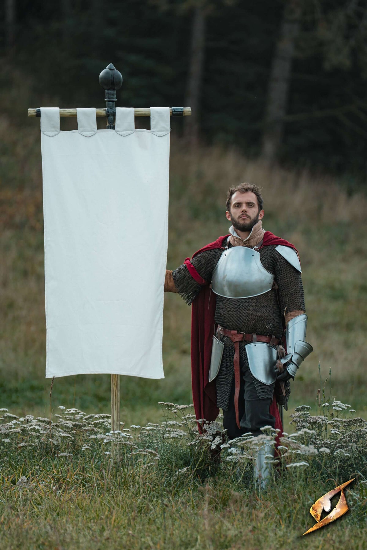 Complete Battle Standard Set - Lord's Orb Top featuring a knight standing next to a blank banner in a field.