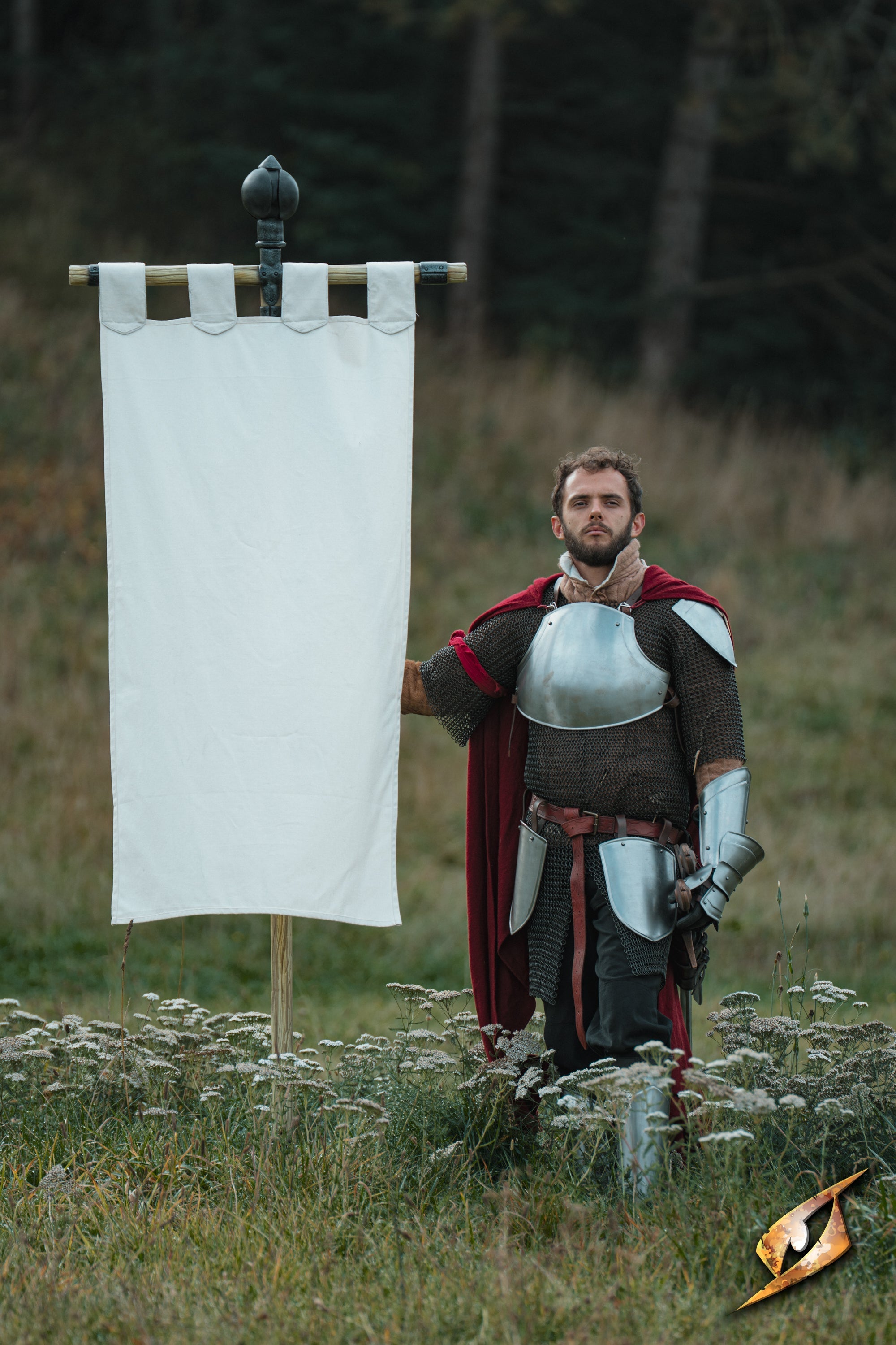 Complete Battle Standard Set - Lord's Orb Top featuring a knight standing next to a blank banner in a field.