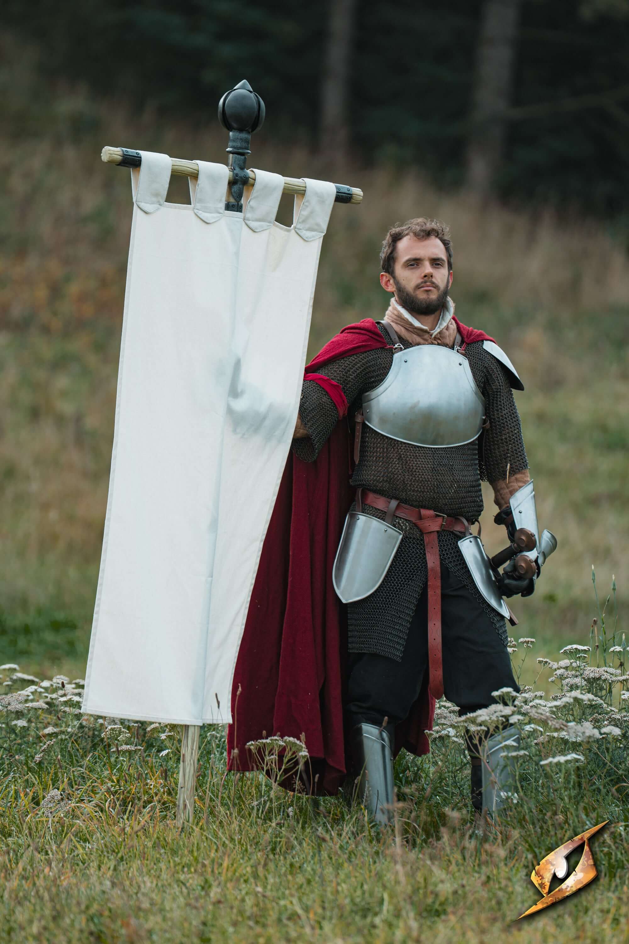 Complete Battle Standard Set - Lord's Orb Top showcased by a knight holding a flag in an outdoor setting.
