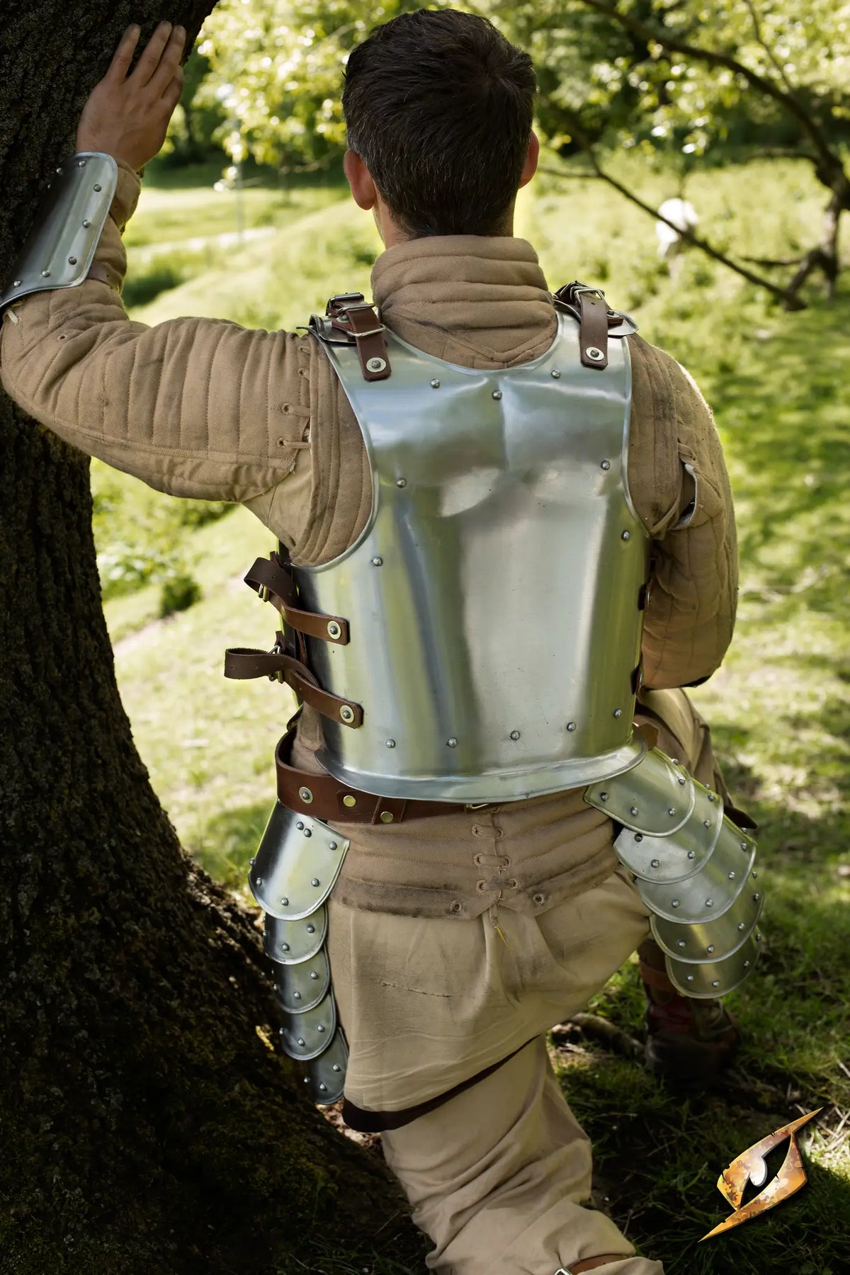 Back Plate Warrior showcasing a soldier wearing polished armor standing by a tree.