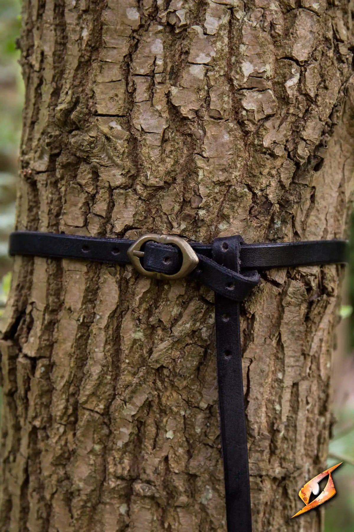 Belt Godfrey leather belt secured around a tree, showcasing its brown color and brass fittings in a natural setting.
