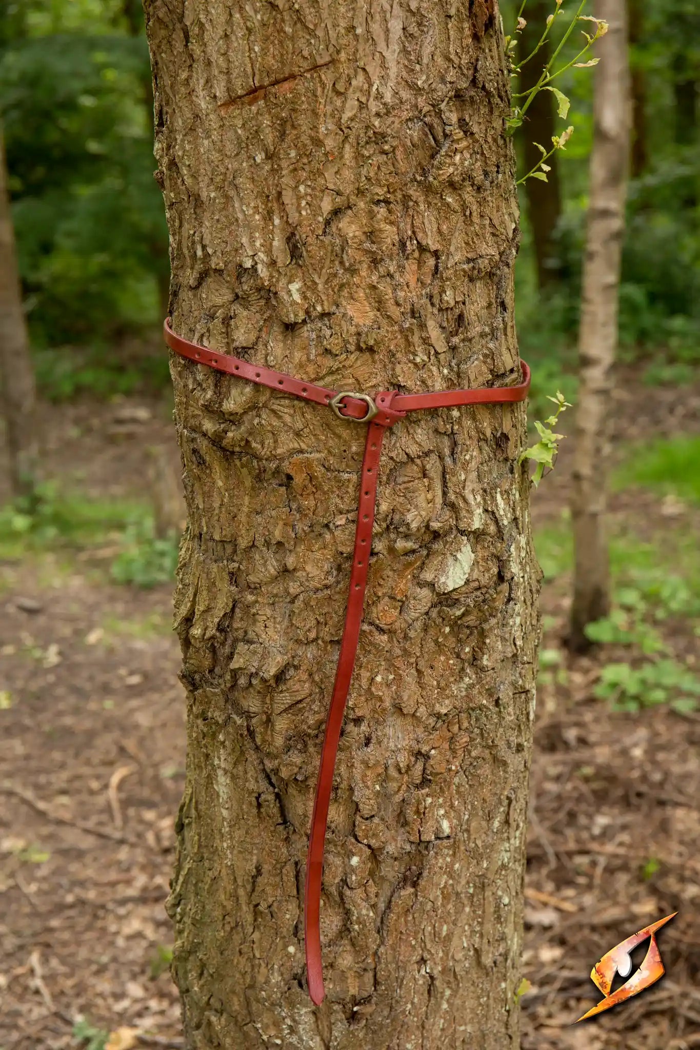 Belt Godfrey wrapped around a tree trunk showcasing its handcrafted brown leather design.