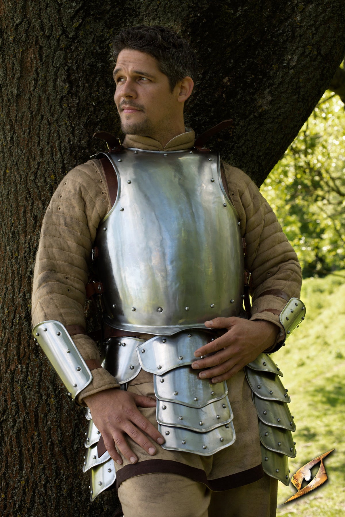 Man wearing Breast Plate Warrior armor resting against a tree, showcasing the polished steel design and structural strength.