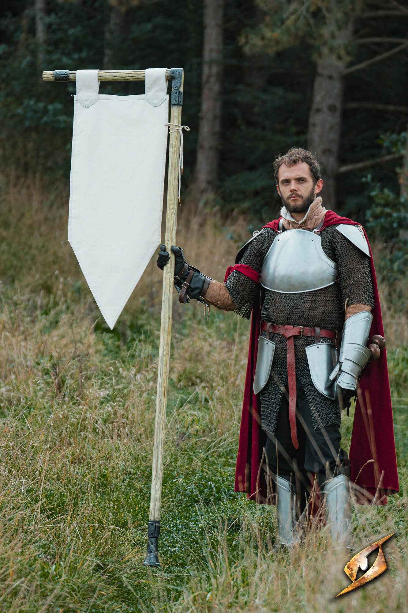 Battle Standard - Pennon