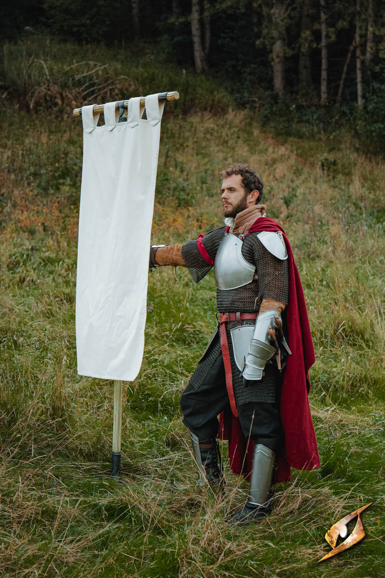 Complete Battle Standard Set - T-Top displayed with a character in armor in a grassy field.
