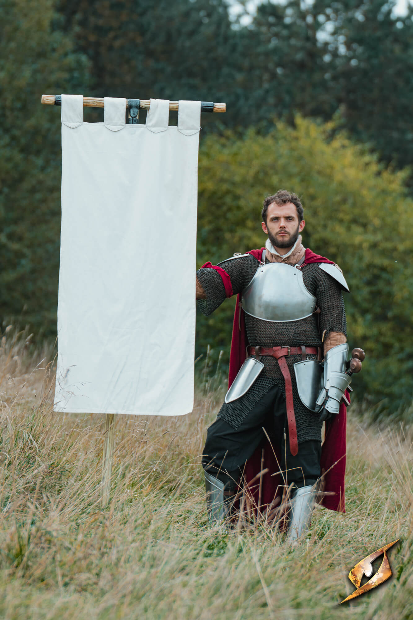 Complete Battle Standard Set - T-Top displayed by a knight in armor standing in a field.