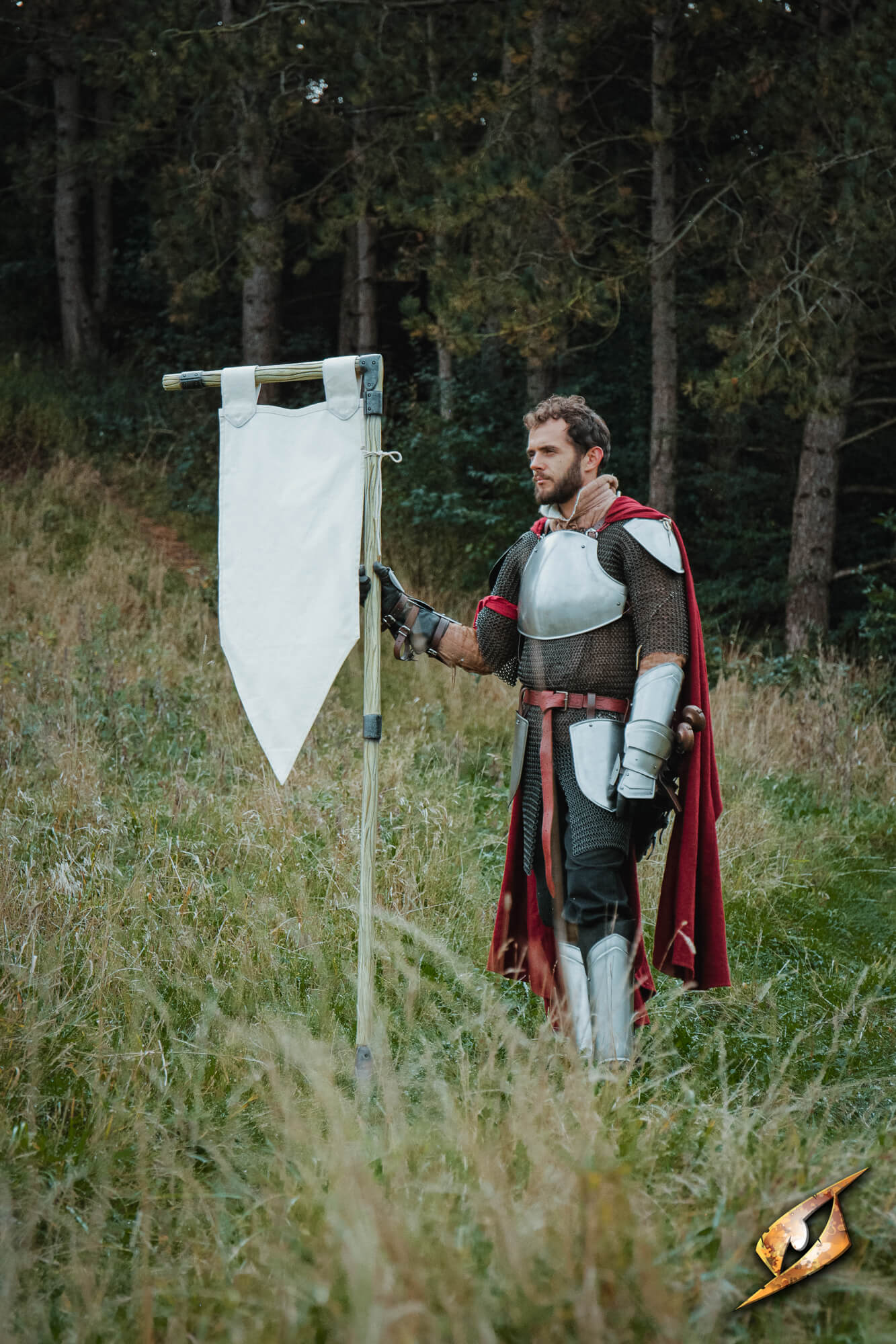 Complete Battle Standard Set - L-Top displayed by a knight in armor holding a banner in a grassy field.
