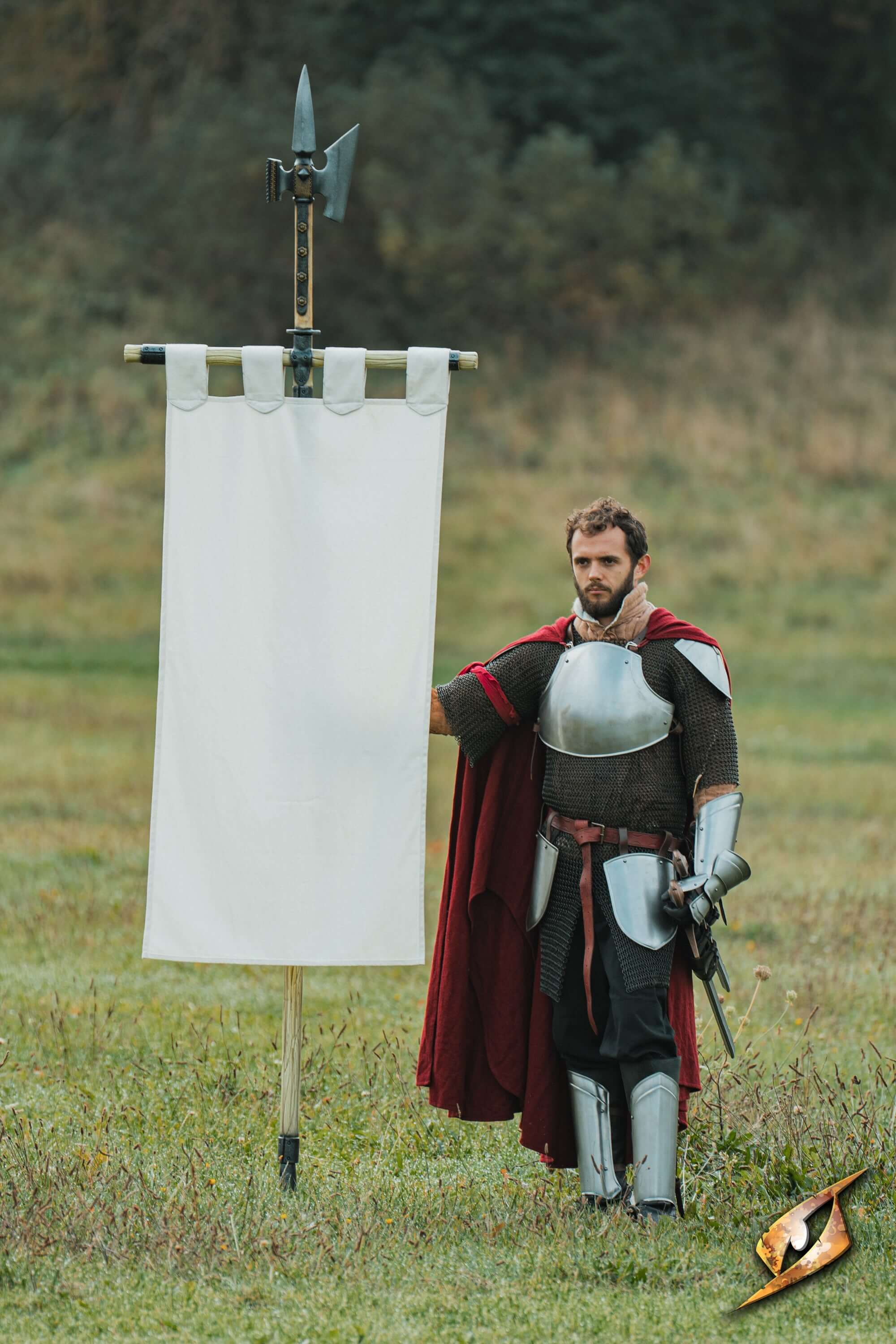 Complete Battle Standard Set - Halberd Top features a knight holding a banner in full armor on a battlefield.