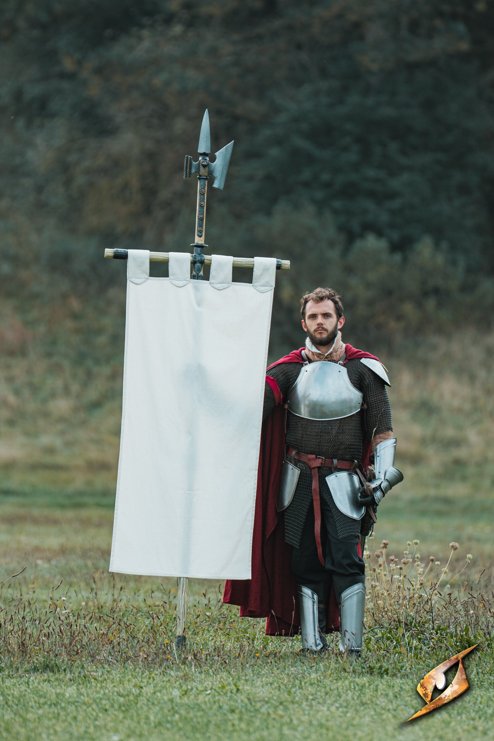 Complete Battle Standard Set - Halberd Top - Epic Armoury America