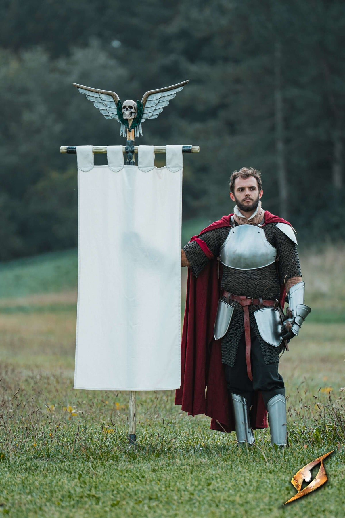 Complete Battle Standard Set - Winged Skull Top with a knight in armor holding a standard on a grassy field.