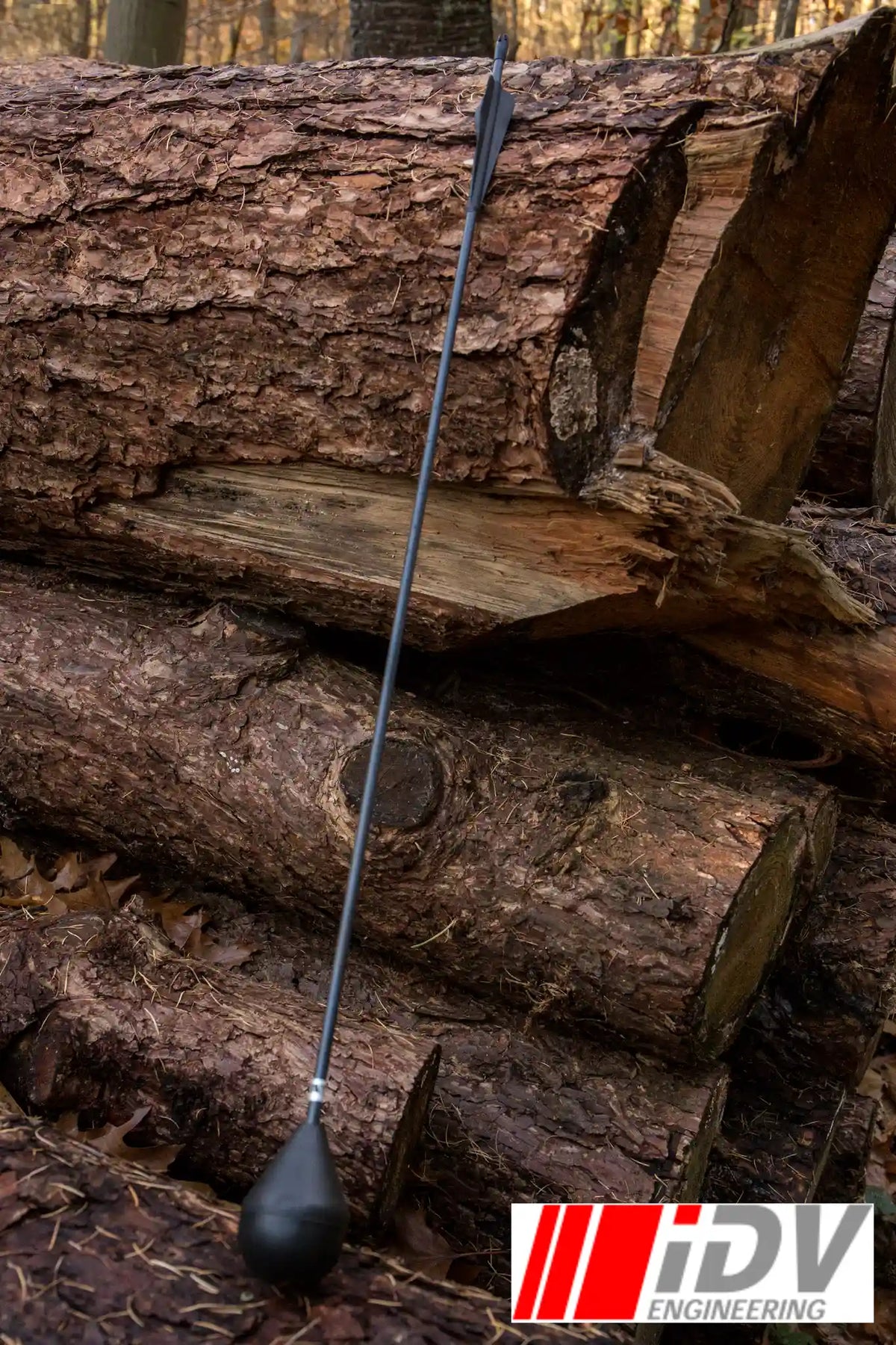 Arrow - Round Head - Black Shaft leaning against stacked logs in a forest setting.