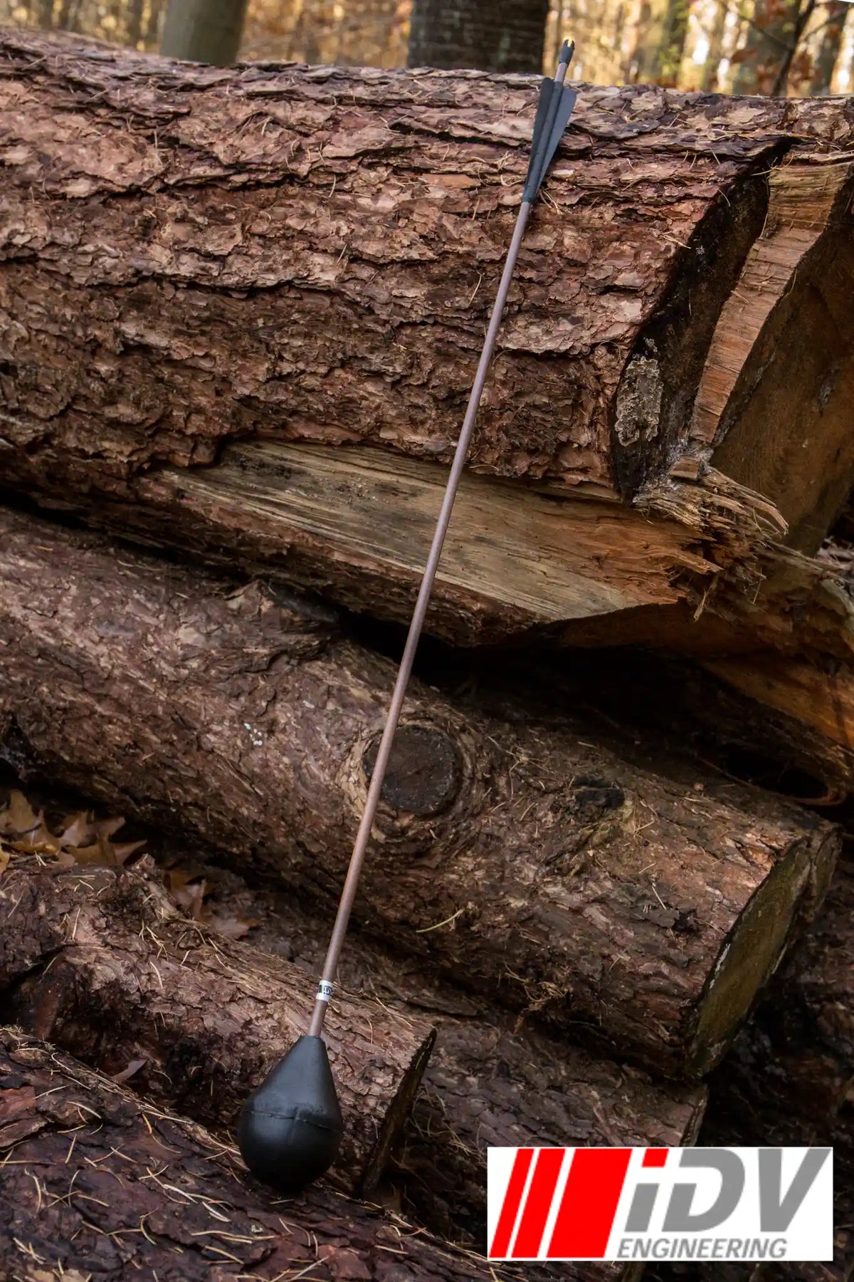 Arrow - Round Head - Brown Shaft leaning against a pile of logs in a forest setting.