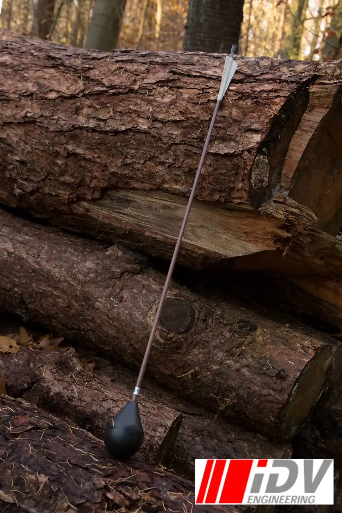 Arrow - Round Head - Brown Shaft leaning against logs in a forest setting