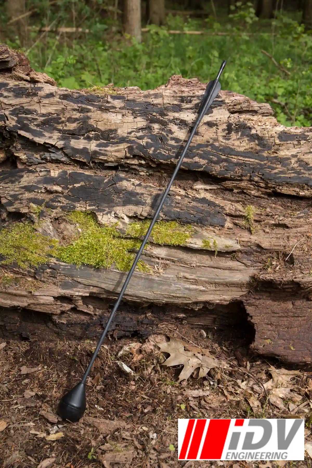 Arrow - Round Head - Sleeved lying on a log in a forest, showcasing its sleek design and durability for archery.
