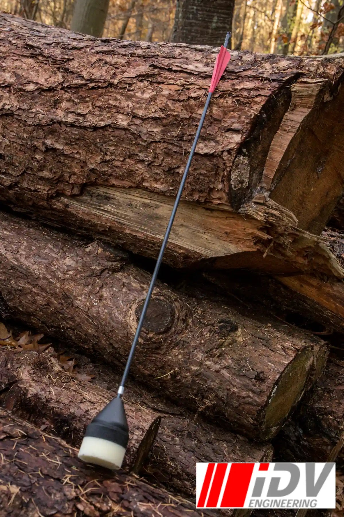 Arrow - Flat Head - Black Shaft leaning against logs in a forest setting.