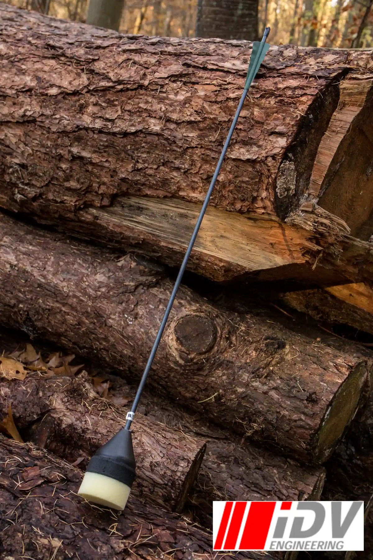 Arrow - Flat Head - Black Shaft resting against logs in a forest setting, showcasing its sleek design.