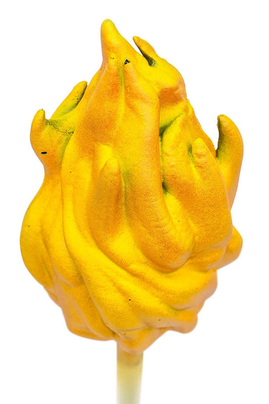 We0144 03