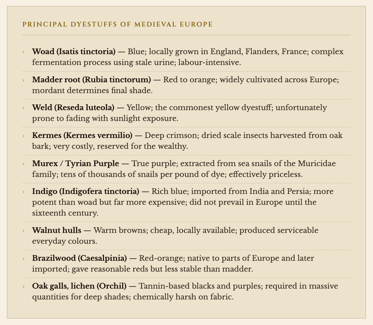 Text list of principal dyestuffs of medieval Europe on a beige background